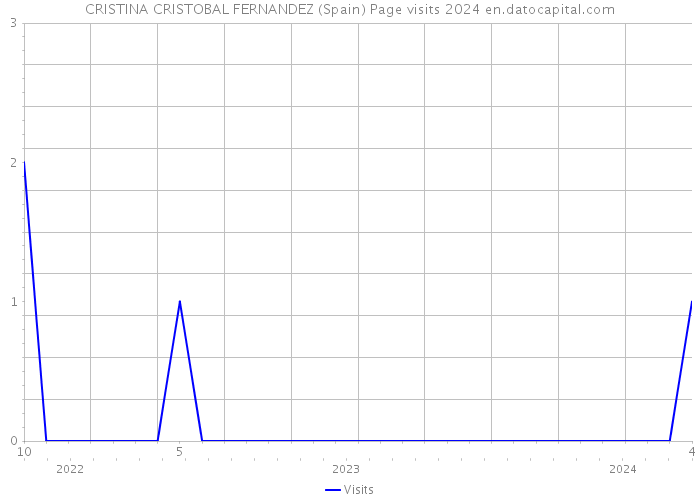 CRISTINA CRISTOBAL FERNANDEZ (Spain) Page visits 2024 