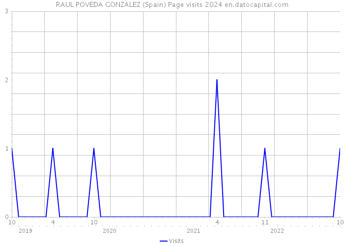 RAUL POVEDA GONZALEZ (Spain) Page visits 2024 
