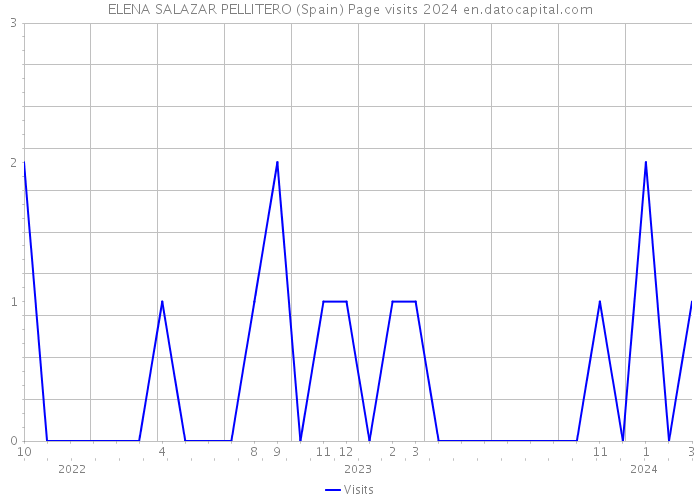 ELENA SALAZAR PELLITERO (Spain) Page visits 2024 