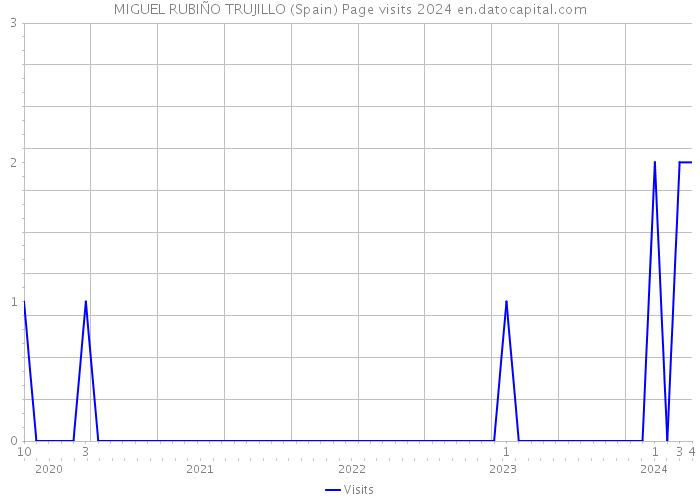 MIGUEL RUBIÑO TRUJILLO (Spain) Page visits 2024 