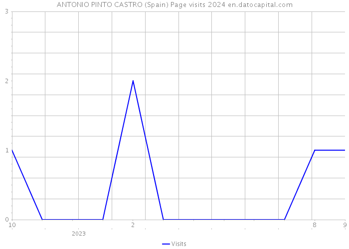 ANTONIO PINTO CASTRO (Spain) Page visits 2024 