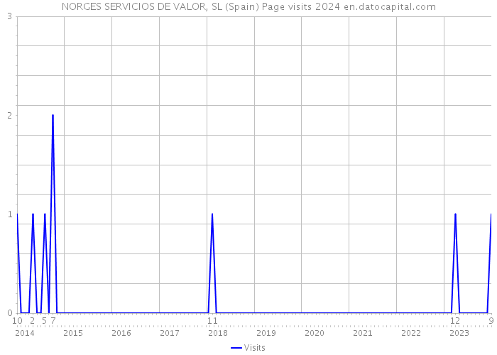 NORGES SERVICIOS DE VALOR, SL (Spain) Page visits 2024 