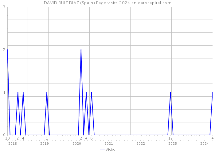 DAVID RUIZ DIAZ (Spain) Page visits 2024 