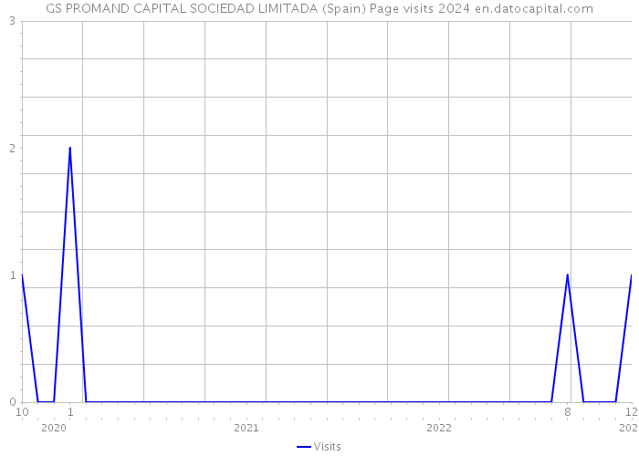 GS PROMAND CAPITAL SOCIEDAD LIMITADA (Spain) Page visits 2024 