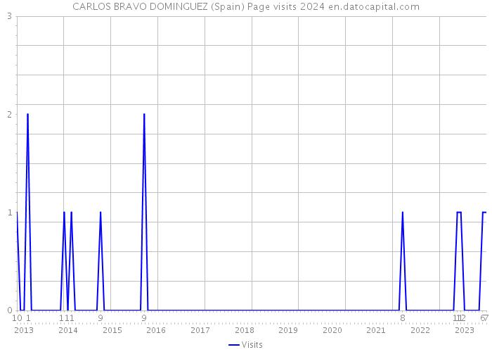 CARLOS BRAVO DOMINGUEZ (Spain) Page visits 2024 