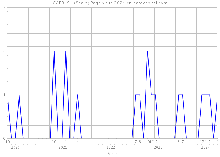 CAPRI S.L (Spain) Page visits 2024 
