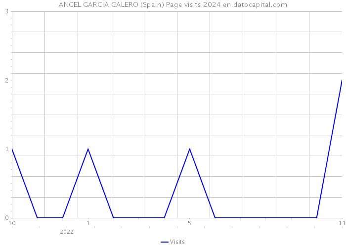 ANGEL GARCIA CALERO (Spain) Page visits 2024 