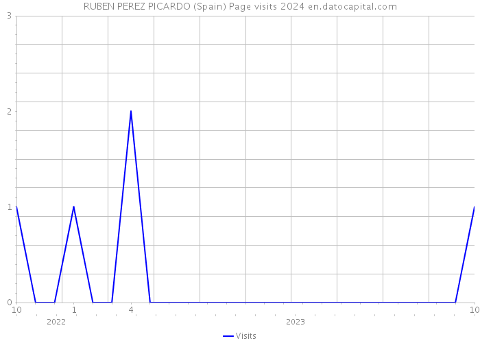 RUBEN PEREZ PICARDO (Spain) Page visits 2024 