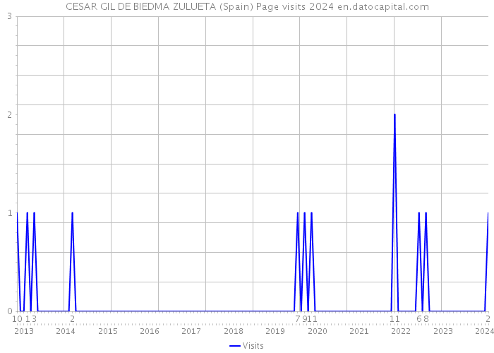 CESAR GIL DE BIEDMA ZULUETA (Spain) Page visits 2024 
