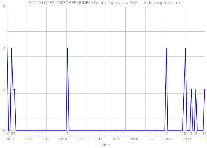 ROCIO LOPEZ LOPEZ BERMUDEZ (Spain) Page visits 2024 