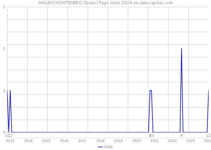 MAURO MONTENERO (Spain) Page visits 2024 