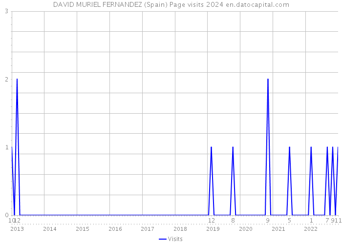 DAVID MURIEL FERNANDEZ (Spain) Page visits 2024 