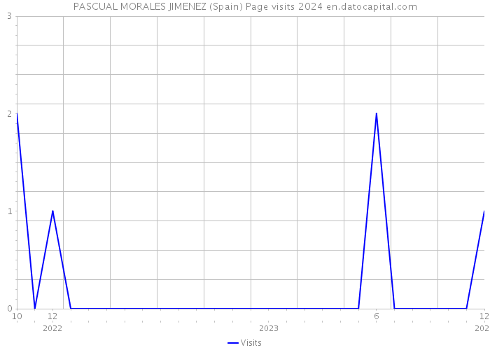 PASCUAL MORALES JIMENEZ (Spain) Page visits 2024 