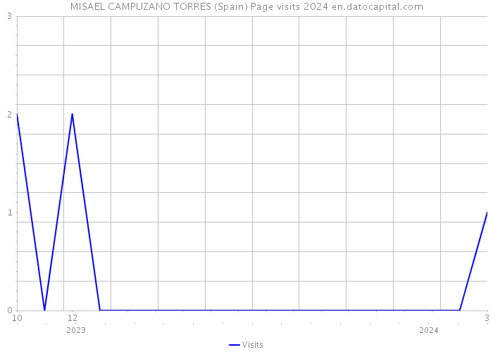 MISAEL CAMPUZANO TORRES (Spain) Page visits 2024 