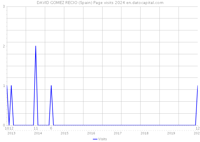 DAVID GOMEZ RECIO (Spain) Page visits 2024 