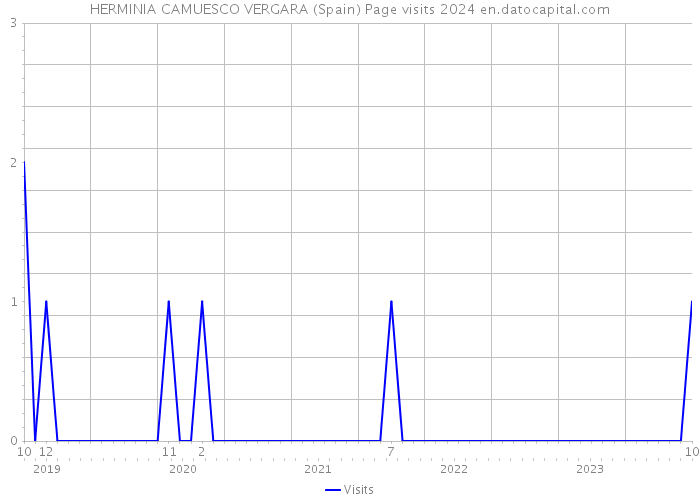 HERMINIA CAMUESCO VERGARA (Spain) Page visits 2024 