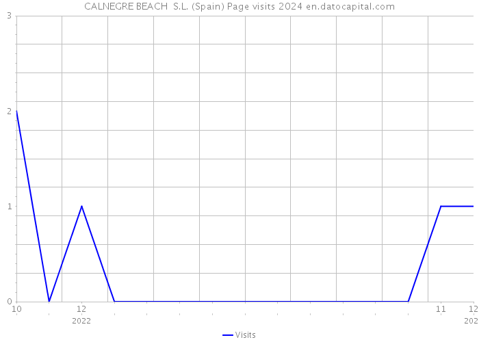 CALNEGRE BEACH S.L. (Spain) Page visits 2024 