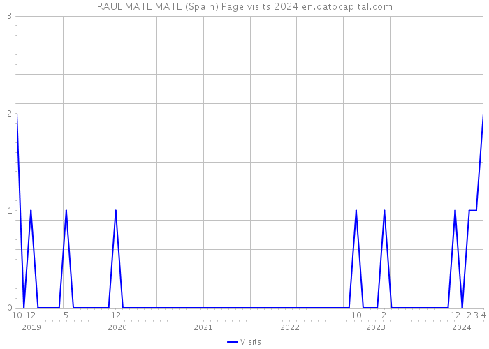 RAUL MATE MATE (Spain) Page visits 2024 