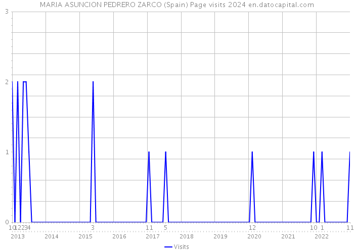 MARIA ASUNCION PEDRERO ZARCO (Spain) Page visits 2024 