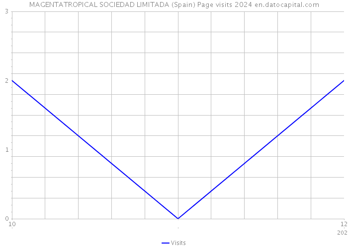 MAGENTATROPICAL SOCIEDAD LIMITADA (Spain) Page visits 2024 