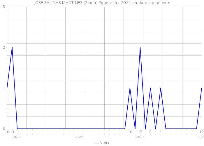 JOSE SALINAS MARTINEZ (Spain) Page visits 2024 
