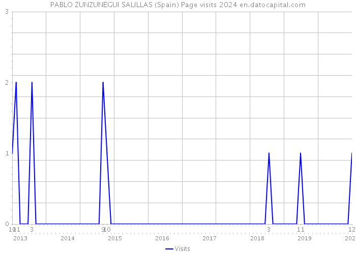 PABLO ZUNZUNEGUI SALILLAS (Spain) Page visits 2024 