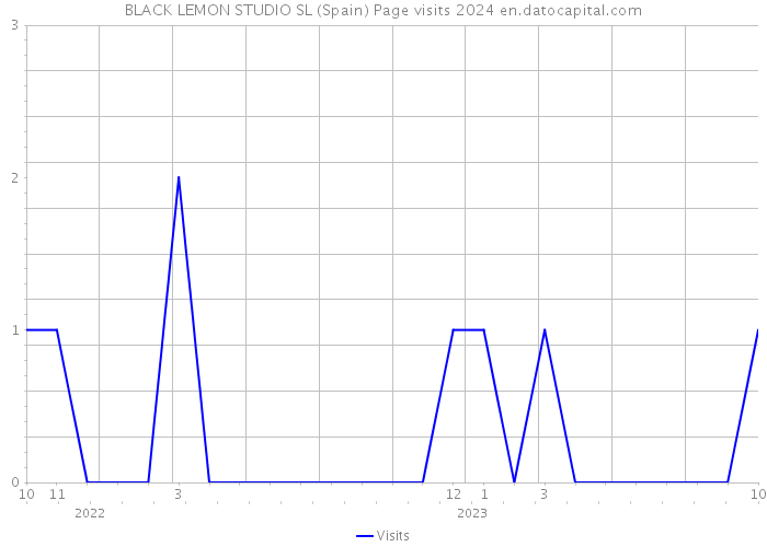 BLACK LEMON STUDIO SL (Spain) Page visits 2024 