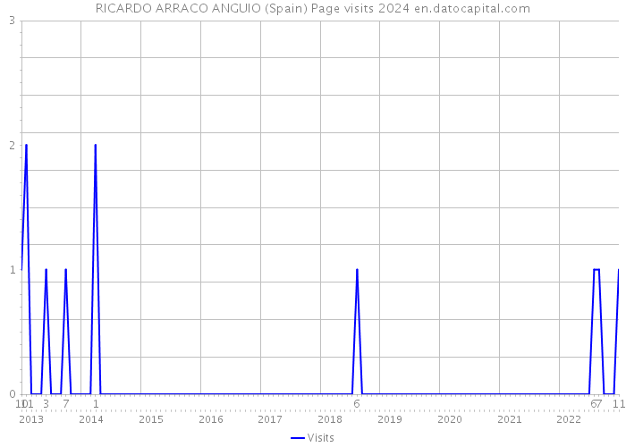 RICARDO ARRACO ANGUIO (Spain) Page visits 2024 
