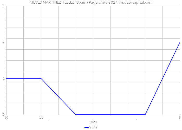 NIEVES MARTINEZ TELLEZ (Spain) Page visits 2024 