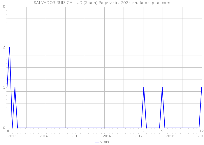 SALVADOR RUIZ GALLUD (Spain) Page visits 2024 