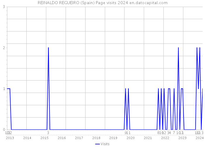REINALDO REGUEIRO (Spain) Page visits 2024 