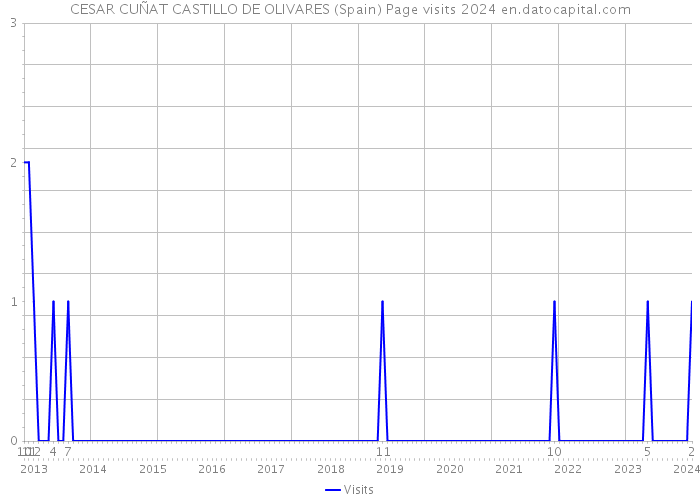 CESAR CUÑAT CASTILLO DE OLIVARES (Spain) Page visits 2024 