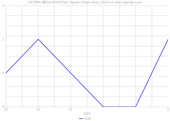 FATIMA BECA MONTOJO (Spain) Page visits 2024 