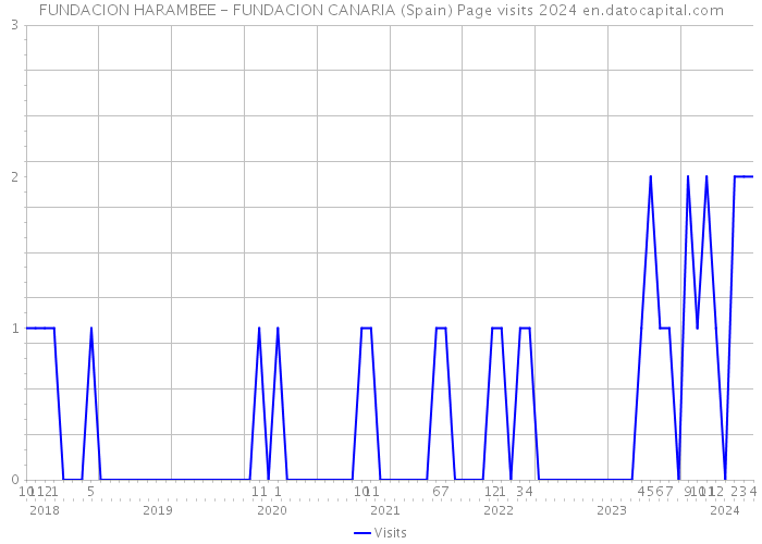 FUNDACION HARAMBEE - FUNDACION CANARIA (Spain) Page visits 2024 
