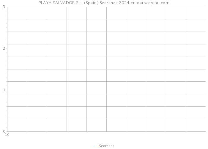 PLAYA SALVADOR S.L. (Spain) Searches 2024 