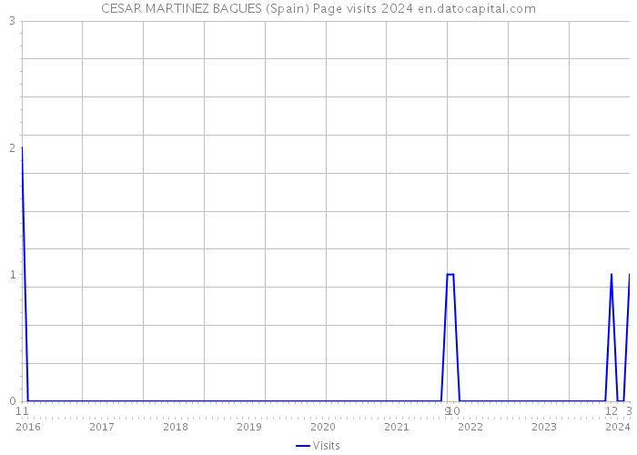 CESAR MARTINEZ BAGUES (Spain) Page visits 2024 
