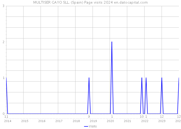 MULTISER GAYO SLL. (Spain) Page visits 2024 