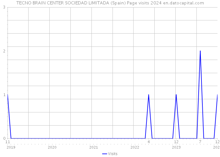 TECNO BRAIN CENTER SOCIEDAD LIMITADA (Spain) Page visits 2024 