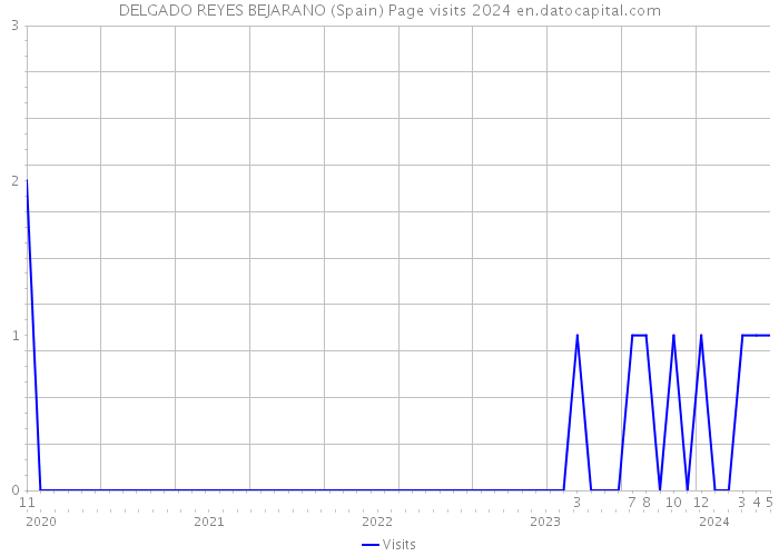 DELGADO REYES BEJARANO (Spain) Page visits 2024 