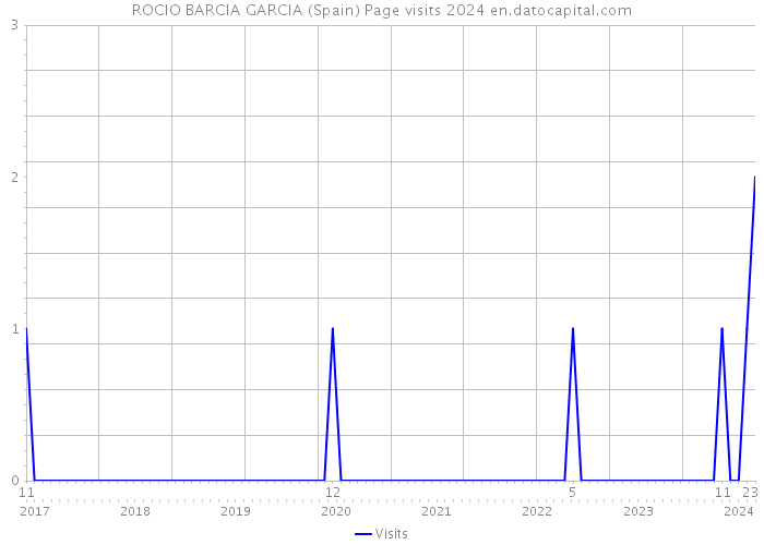 ROCIO BARCIA GARCIA (Spain) Page visits 2024 