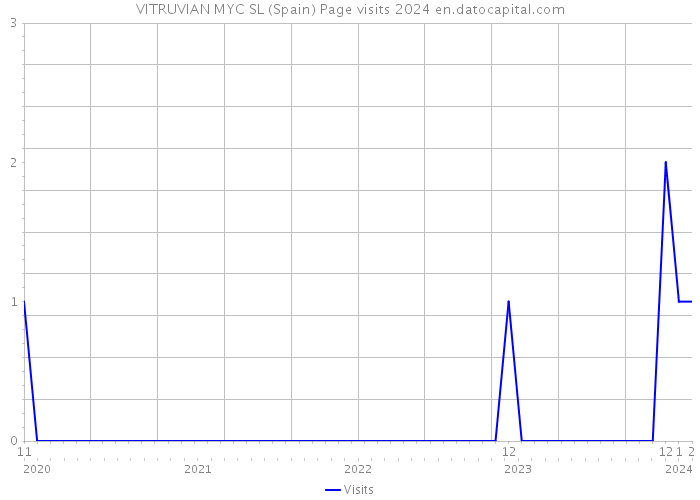 VITRUVIAN MYC SL (Spain) Page visits 2024 