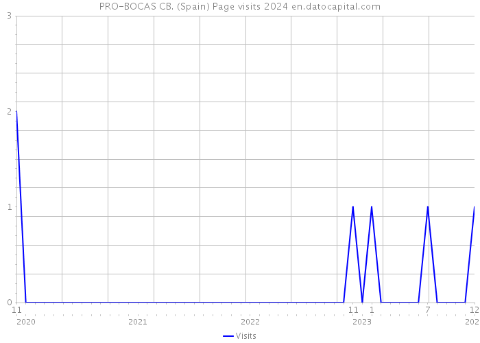 PRO-BOCAS CB. (Spain) Page visits 2024 