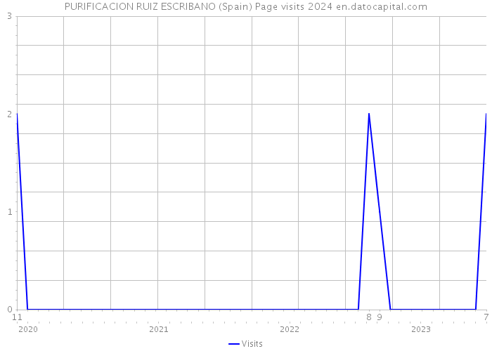 PURIFICACION RUIZ ESCRIBANO (Spain) Page visits 2024 