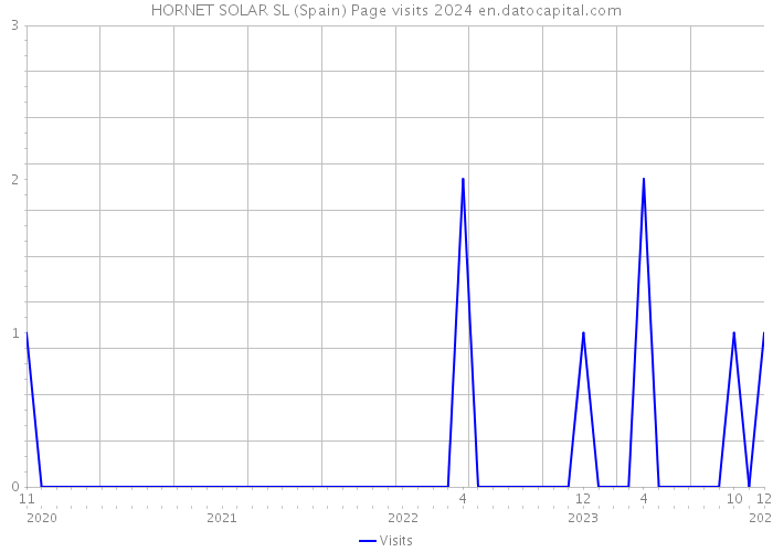 HORNET SOLAR SL (Spain) Page visits 2024 