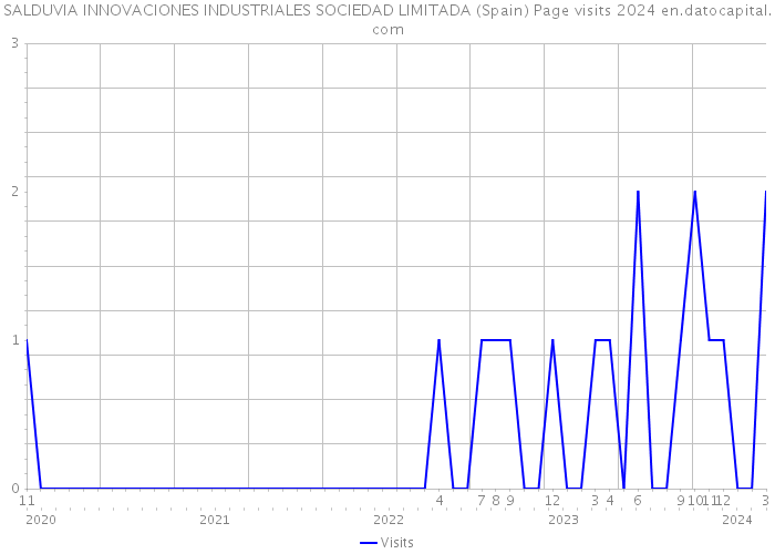 SALDUVIA INNOVACIONES INDUSTRIALES SOCIEDAD LIMITADA (Spain) Page visits 2024 