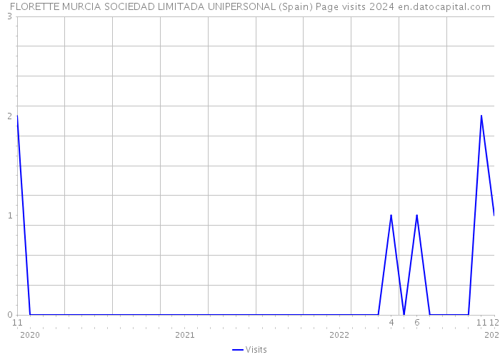 FLORETTE MURCIA SOCIEDAD LIMITADA UNIPERSONAL (Spain) Page visits 2024 