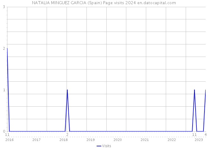 NATALIA MINGUEZ GARCIA (Spain) Page visits 2024 