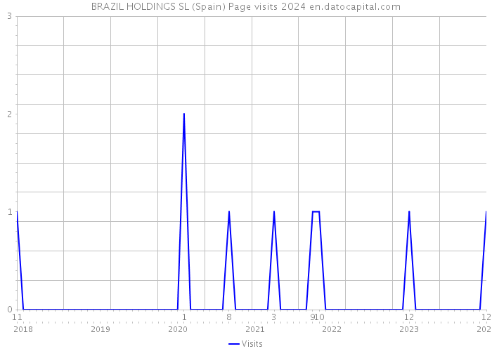 BRAZIL HOLDINGS SL (Spain) Page visits 2024 