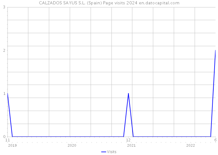 CALZADOS SAYUS S.L. (Spain) Page visits 2024 