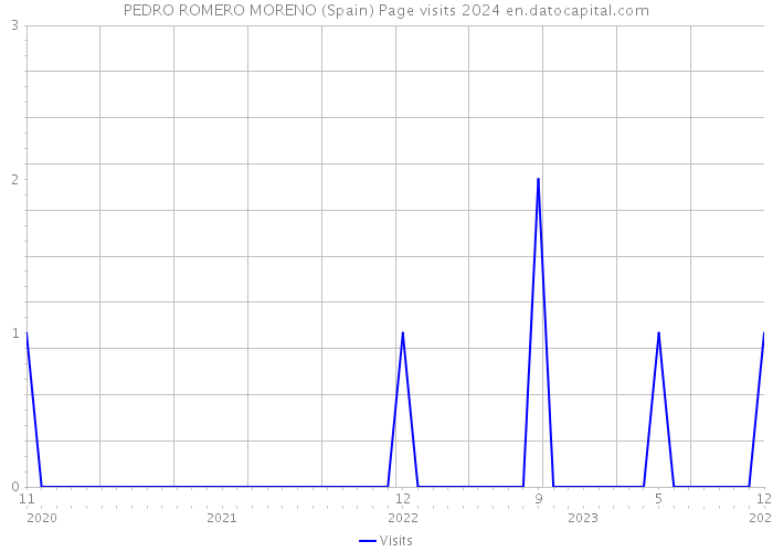 PEDRO ROMERO MORENO (Spain) Page visits 2024 